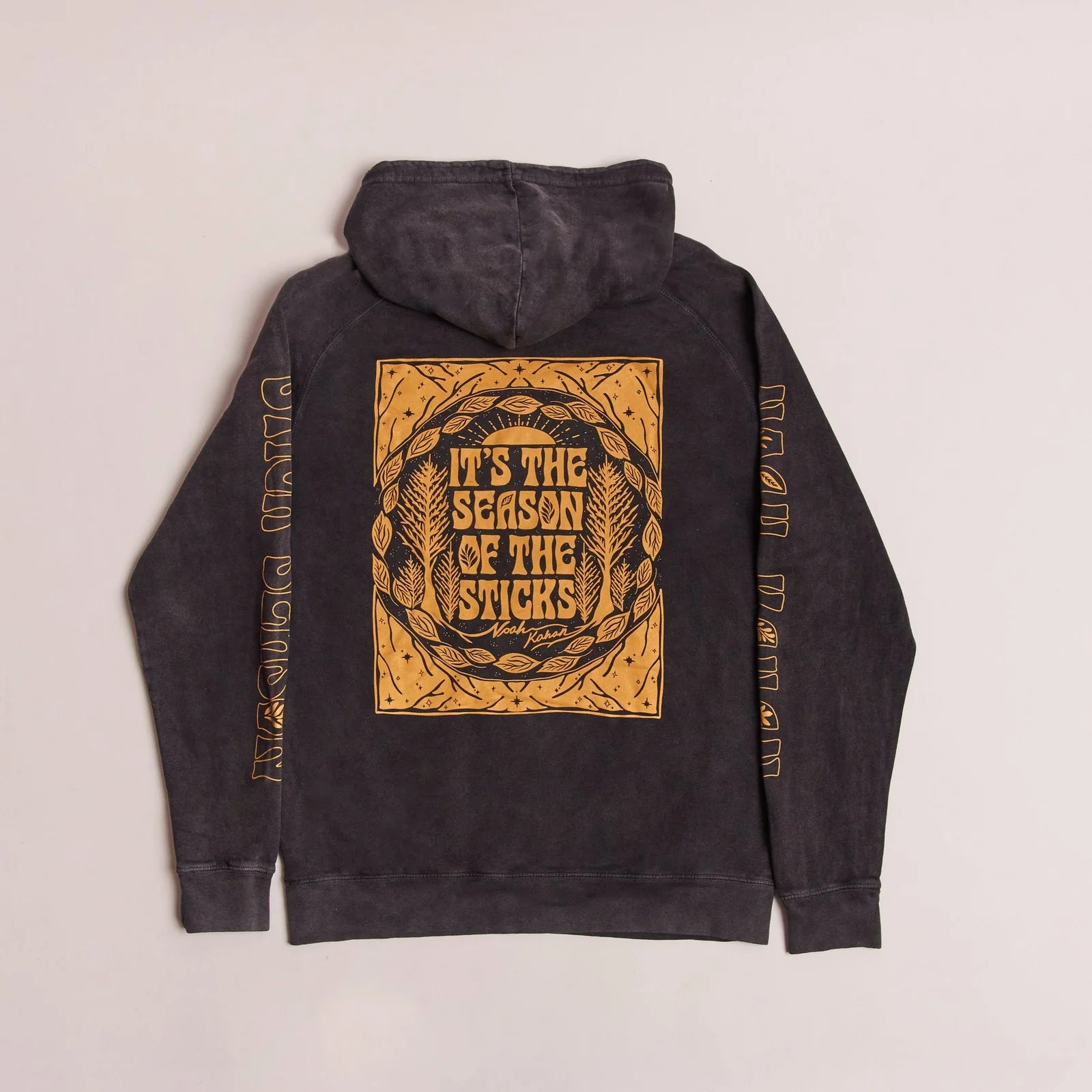 Stick Season Hoodie - Vintage Black Back