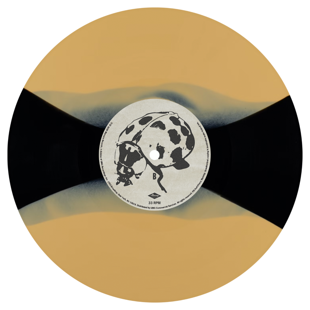 The Great Divide Headlights In The Dark Vinyl Disc