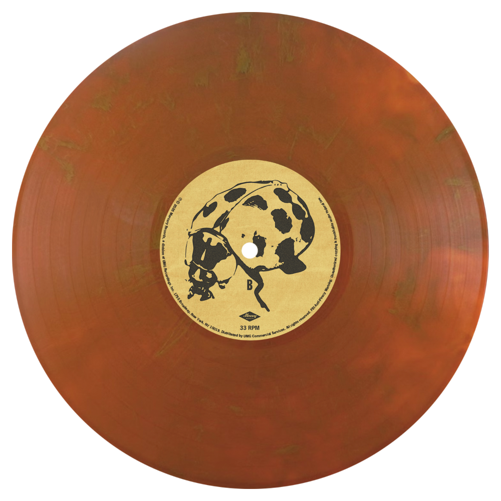 The Great Divide (American Rust Vinyl 2LP) | Noah Kahan Official The Great Divide (American Rust Vinyl 2LP) | Noah Kahan Official