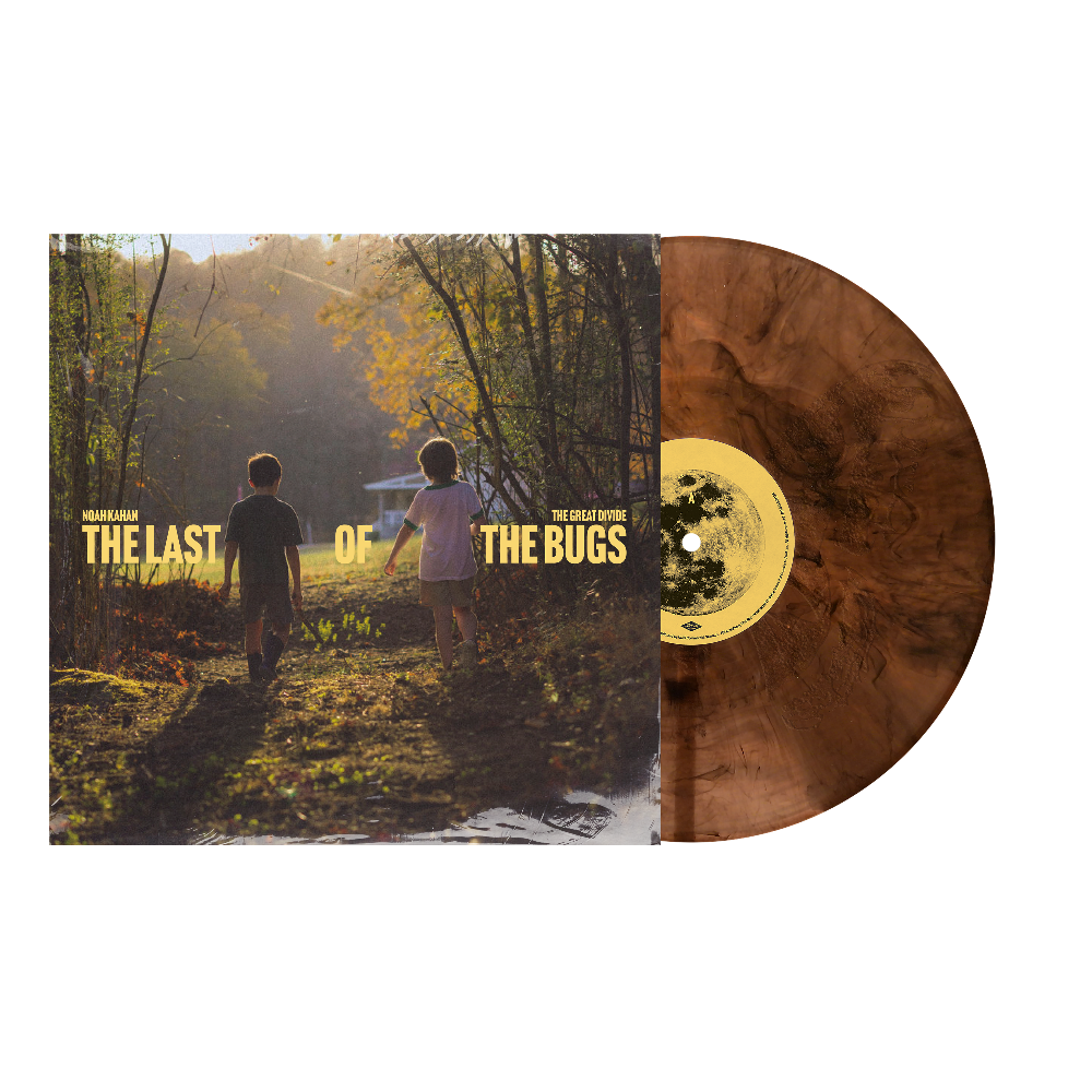 The Last of the Bugs 12" Vinyl Front
