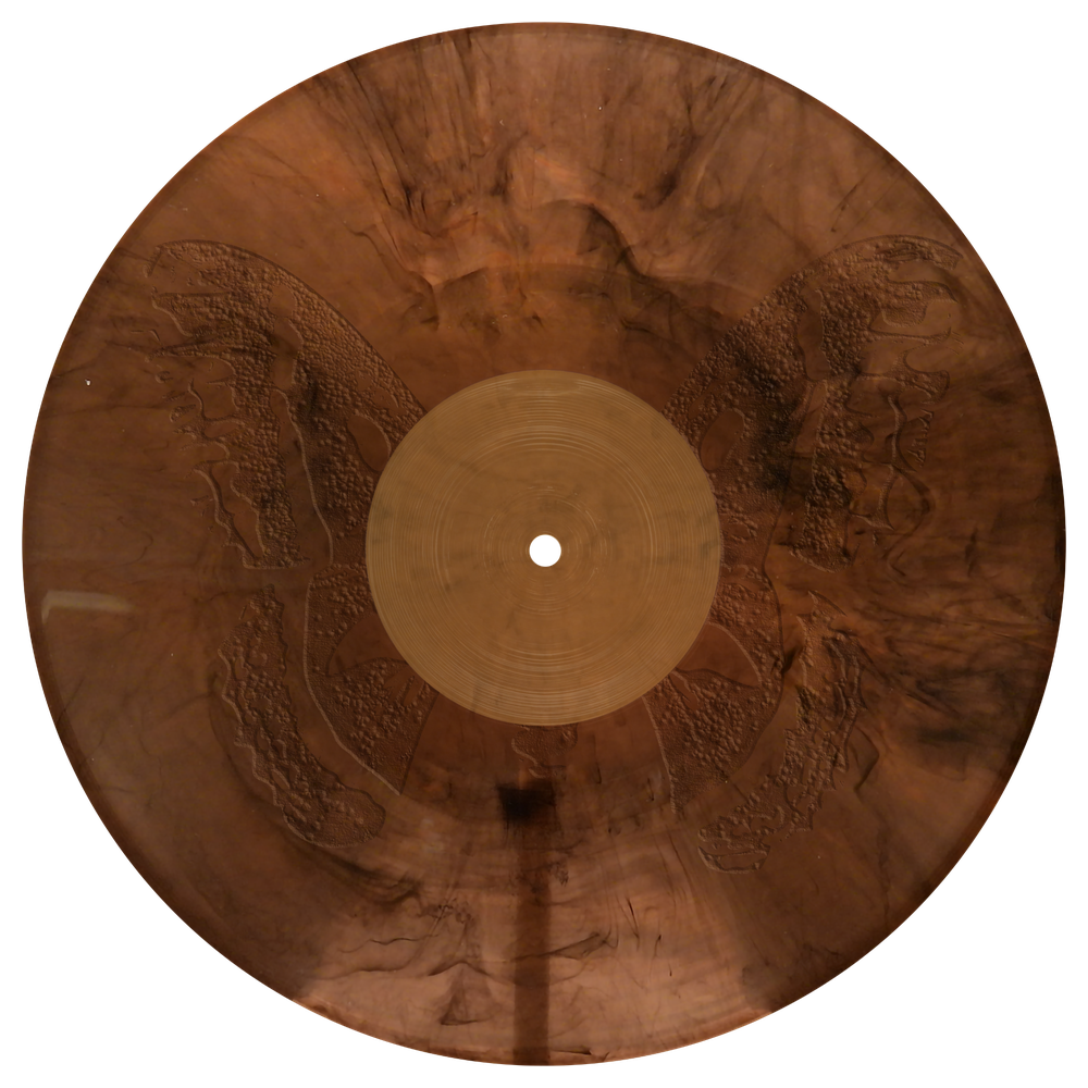 The Last of the Bugs 12" Vinyl Side B