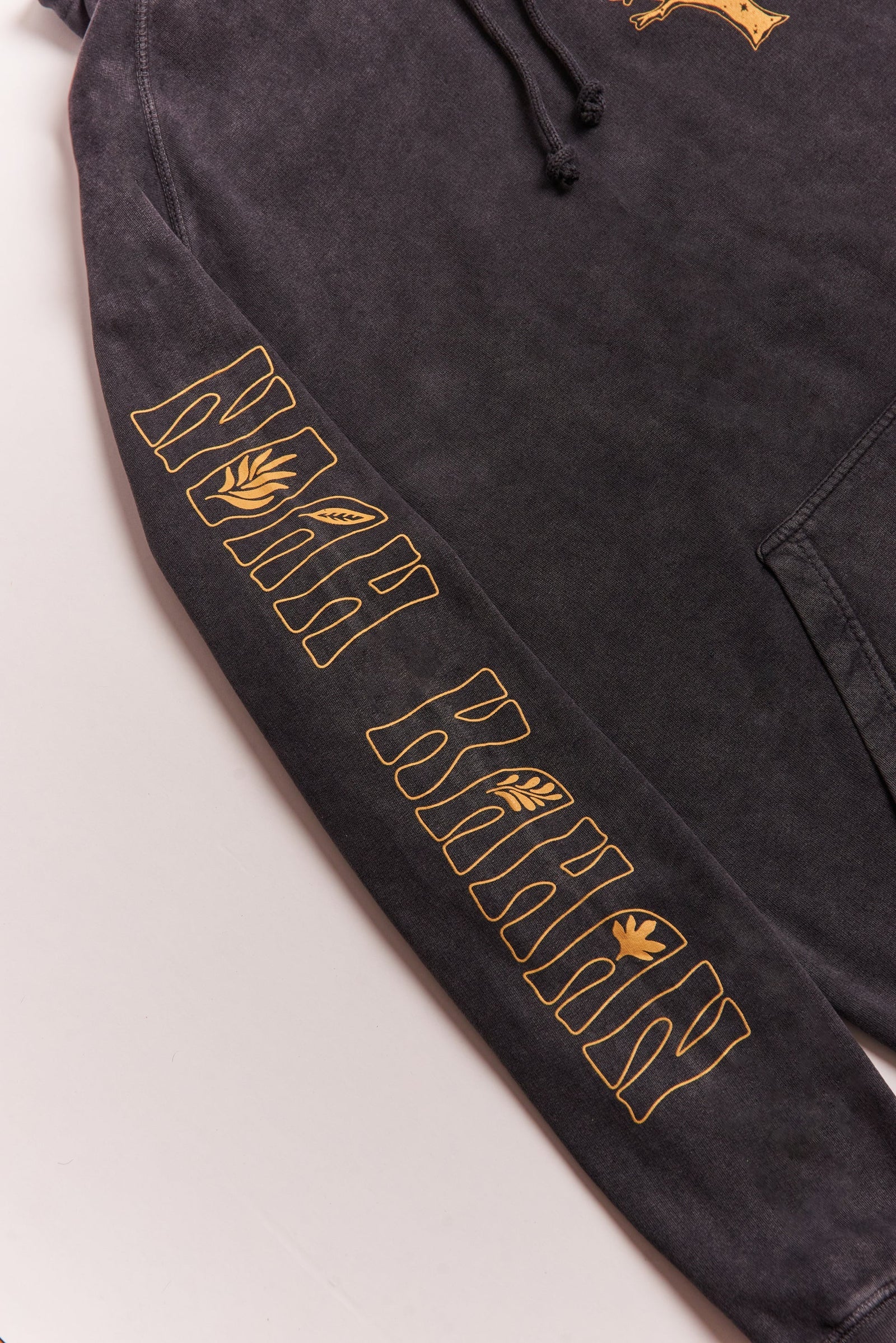 Stick Season Hoodie - Vintage Black Sleeve