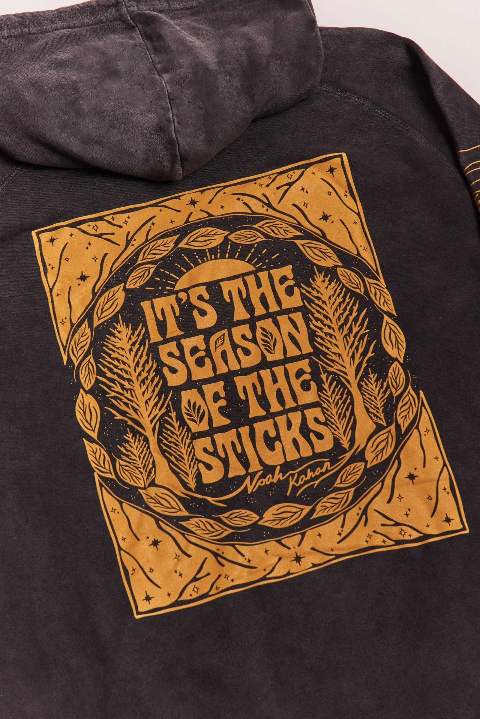 Stick Season Hoodie - Vintage Black Back Detail