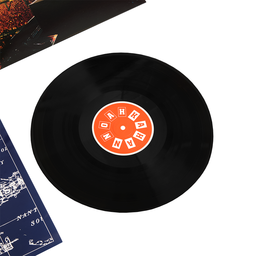 Live at Fenway Park (Standard Black 2LP) Disc